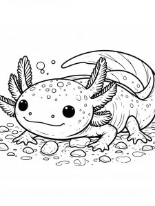 Axolotl coloring page - picture 29