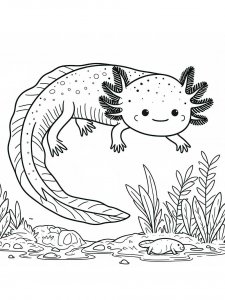 Axolotl coloring page - picture 30