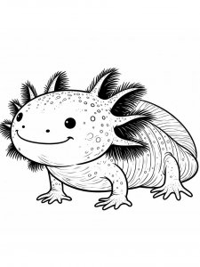 Axolotl coloring page - picture 32