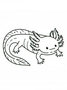 Axolotl coloring page - picture 33