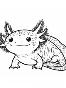 Axolotl coloring page - picture 34