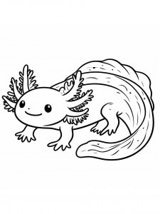 Axolotl coloring page - picture 35