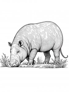 Babirusa coloring page - picture 11