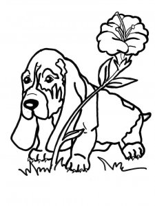 Basset Hound coloring page - picture 19