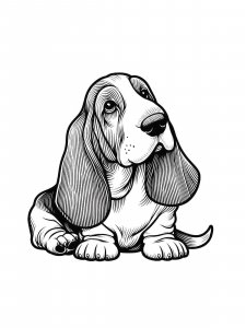 Basset Hound coloring page - picture 27
