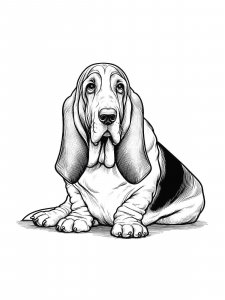 Basset Hound coloring page - picture 29