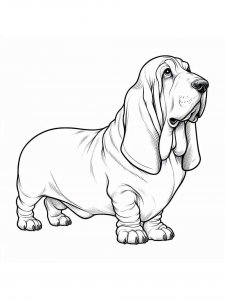 Basset Hound coloring page - picture 32
