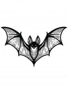 Bat coloring page - picture 16