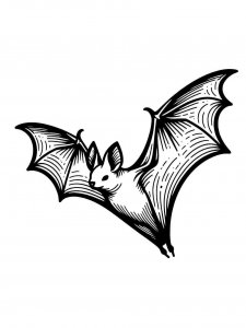 Bat coloring page - picture 20