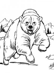 Black Bear coloring page - picture 13