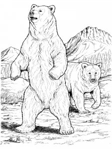Black Bear coloring page - picture 14