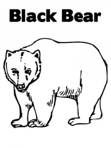 Black Bear coloring page - picture 2