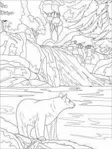Black Bear coloring page - picture 4