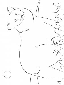 Black Bear coloring page - picture 5