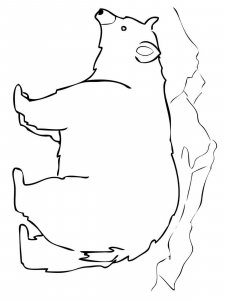 Black Bear coloring page - picture 9