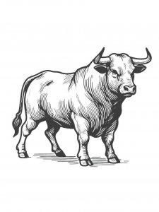 Bull coloring page - picture 48