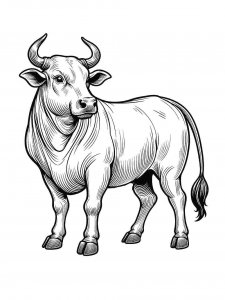 Bull coloring page - picture 51