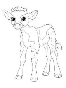 Calf coloring page - picture 21