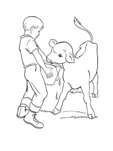 Calf coloring page - picture 7