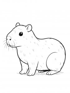 Capybara coloring page - picture 18