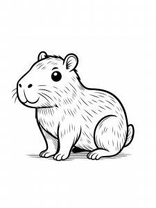 Capybara coloring page - picture 20
