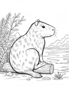 Capybara coloring page - picture 25