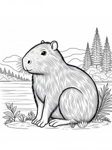Capybara coloring page - picture 27