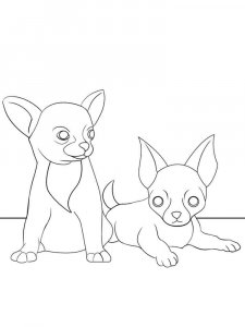 Chihuahua coloring page - picture 16