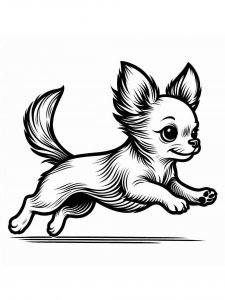 Chihuahua coloring page - picture 28