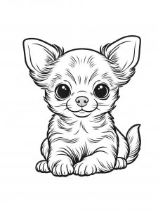 Chihuahua coloring page - picture 31