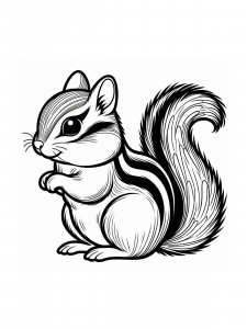 Chipmunk coloring page - picture 17