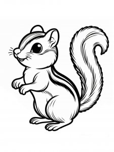 Chipmunk coloring page - picture 21