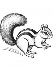 Chipmunk coloring page - picture 22
