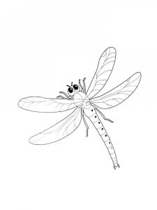 Dragonfly coloring page - picture 31
