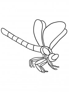 Dragonfly coloring page - picture 4