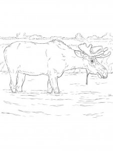 Elk coloring page - picture 9