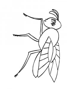 Fly coloring page - picture 1