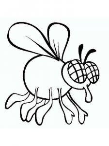 Fly coloring page - picture 17