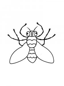 Fly coloring page - picture 19