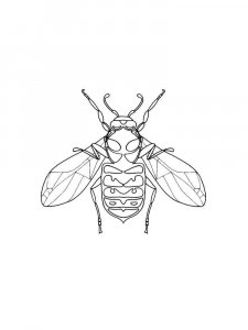 Fly coloring page - picture 22