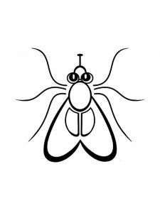 Fly coloring page - picture 23