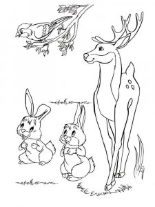 Forest animals coloring page - picture 3