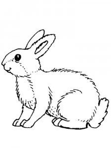 Forest animals coloring page - picture 8