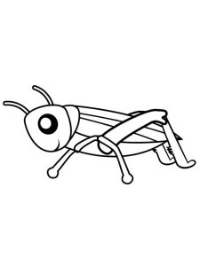 Grasshopper coloring page - picture 1