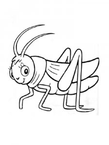 Grasshopper coloring page - picture 12