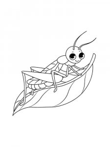 Grasshopper coloring page - picture 19