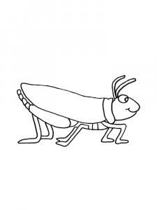 Grasshopper coloring page - picture 22