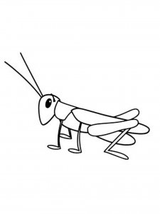 Grasshopper coloring page - picture 3