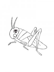 Grasshopper coloring page - picture 34