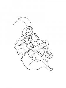 Grasshopper coloring page - picture 35
